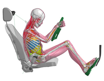 丰田推出附带肌肉的假人模型，可模拟碰撞前的紧张姿势