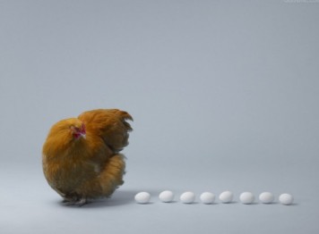 思维体操：营销和产品谁是鸡谁是蛋？