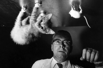 “液态铁”的聚散之道——凯迪拉克MRC主动电磁悬挂系统解析