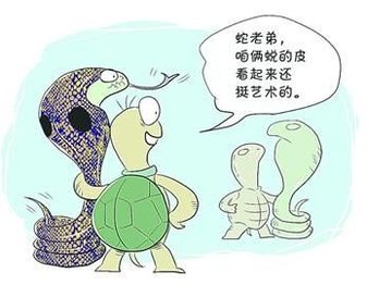 两厢车掀背潮来袭，原汁原味不如中国味