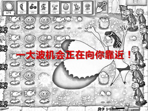 _86177031228967294126360781184813093306_副本_副本.jpg