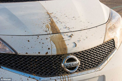 日产新技术：洗自己的车，让洗车工都凉快去吧