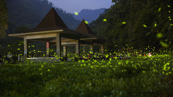 14049720131046blsvr_640X1000.jpg
