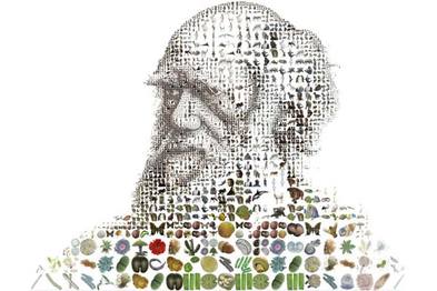 【一周动态】厉害了！我的LINC 2016