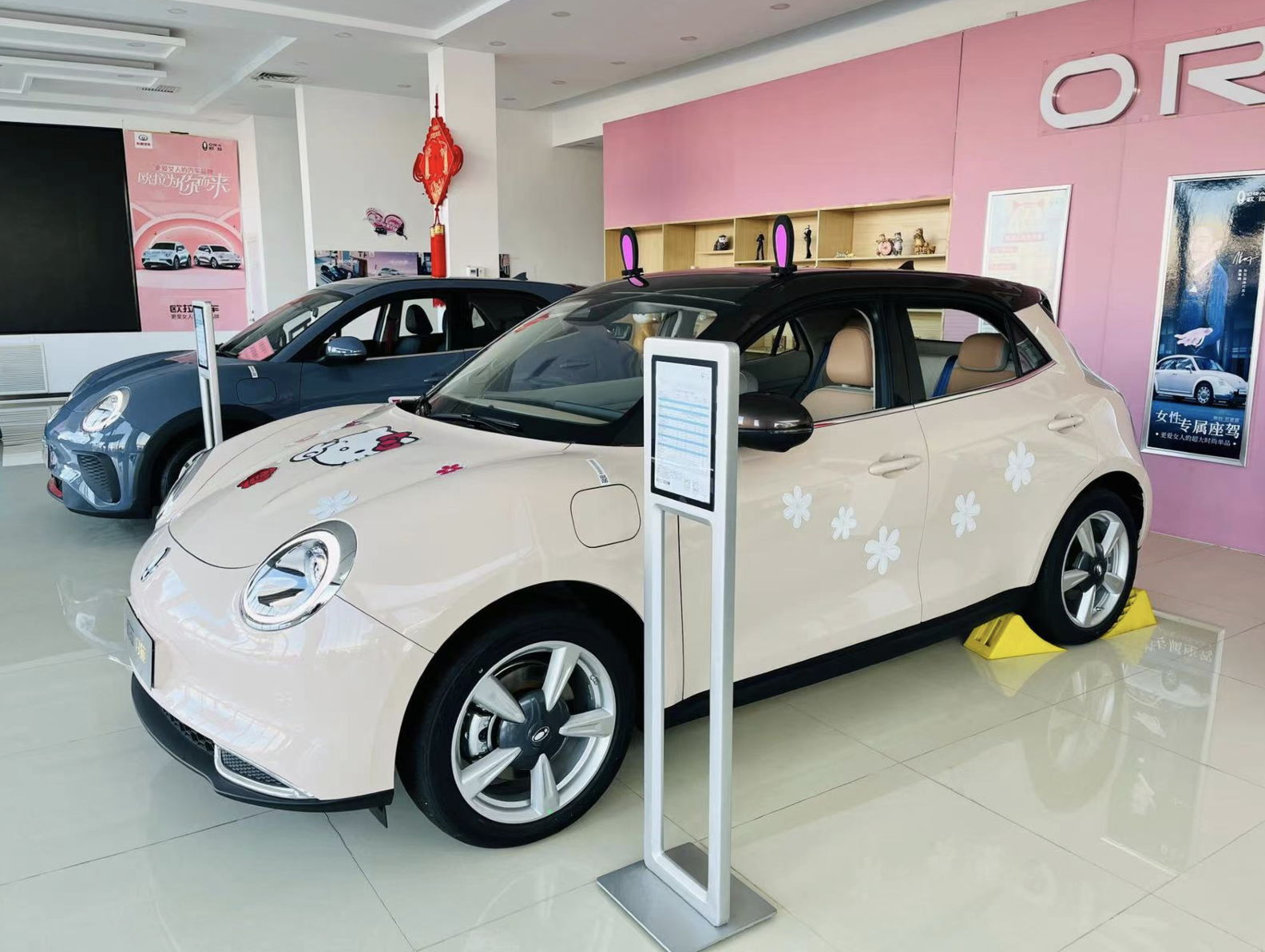 买猫正当时欧拉好猫2周年宠粉季福利开启